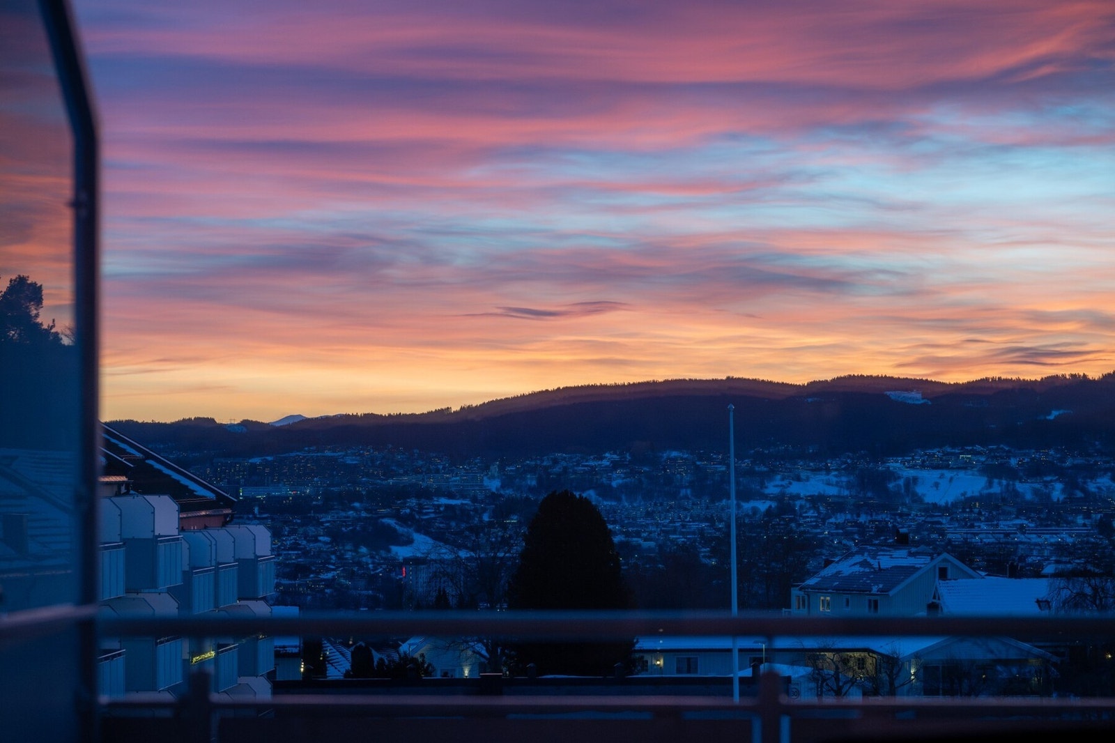 Selgers bilde. Galleribilde