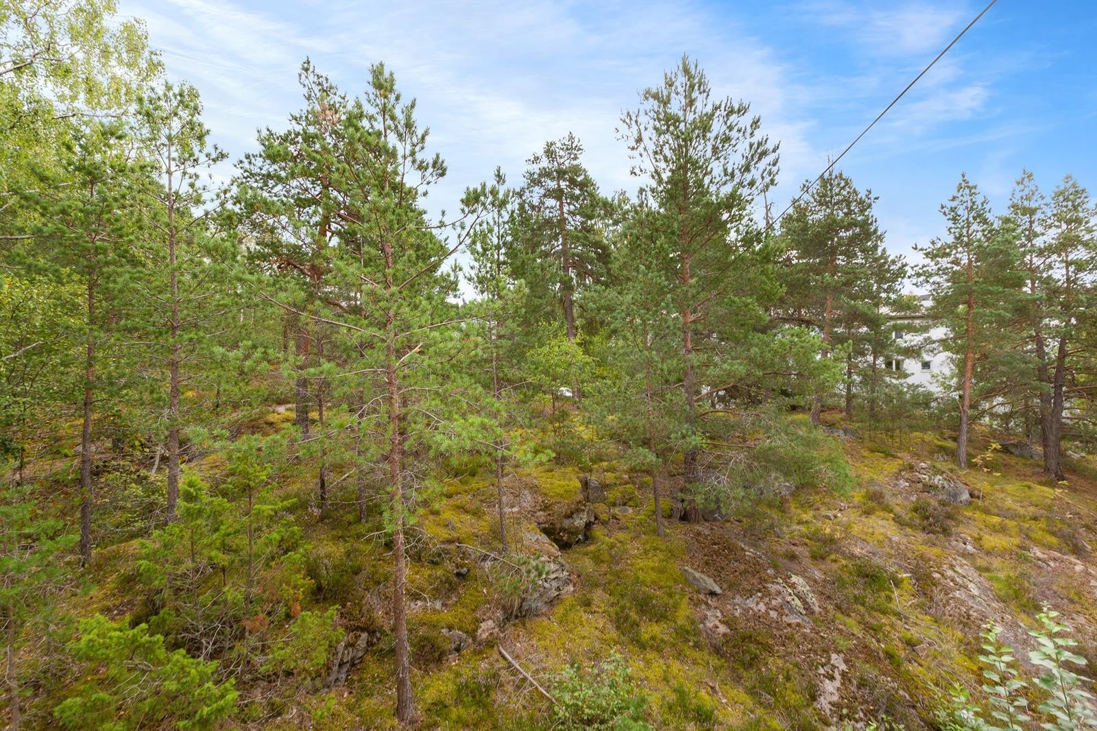 Utsyn fra stue. Galleribilde