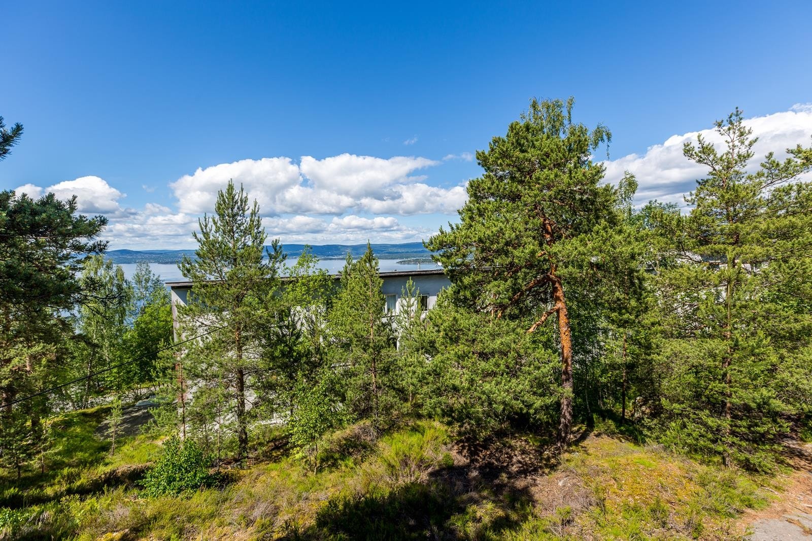 Gården ligger i grønne omgivelser med flott utsikt mot sjøen Galleribilde