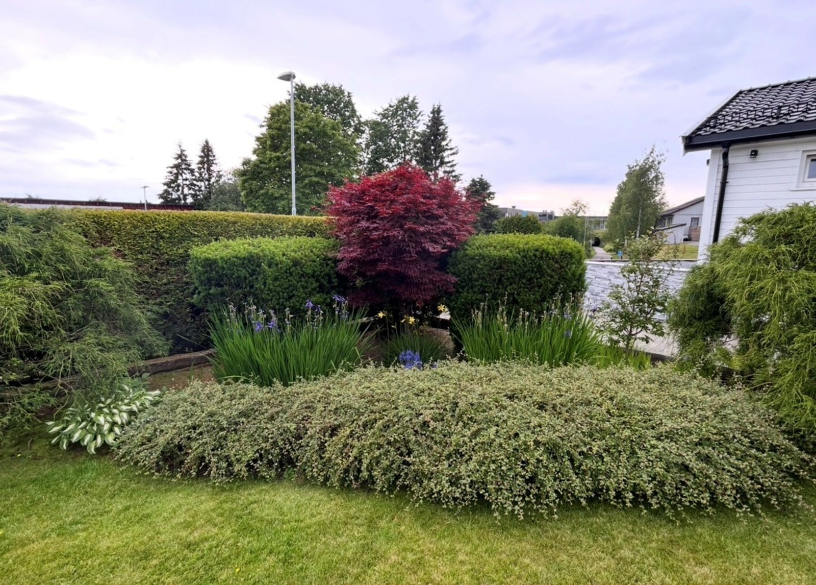 Selgers egne sommerbilder som viser til det svært pent opparbeidede hageområdet. Galleribilde