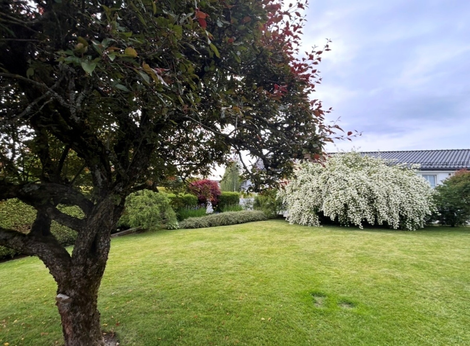 Selgers egne sommerbilder som viser til det svært pent opparbeidede hageområdet. Galleribilde