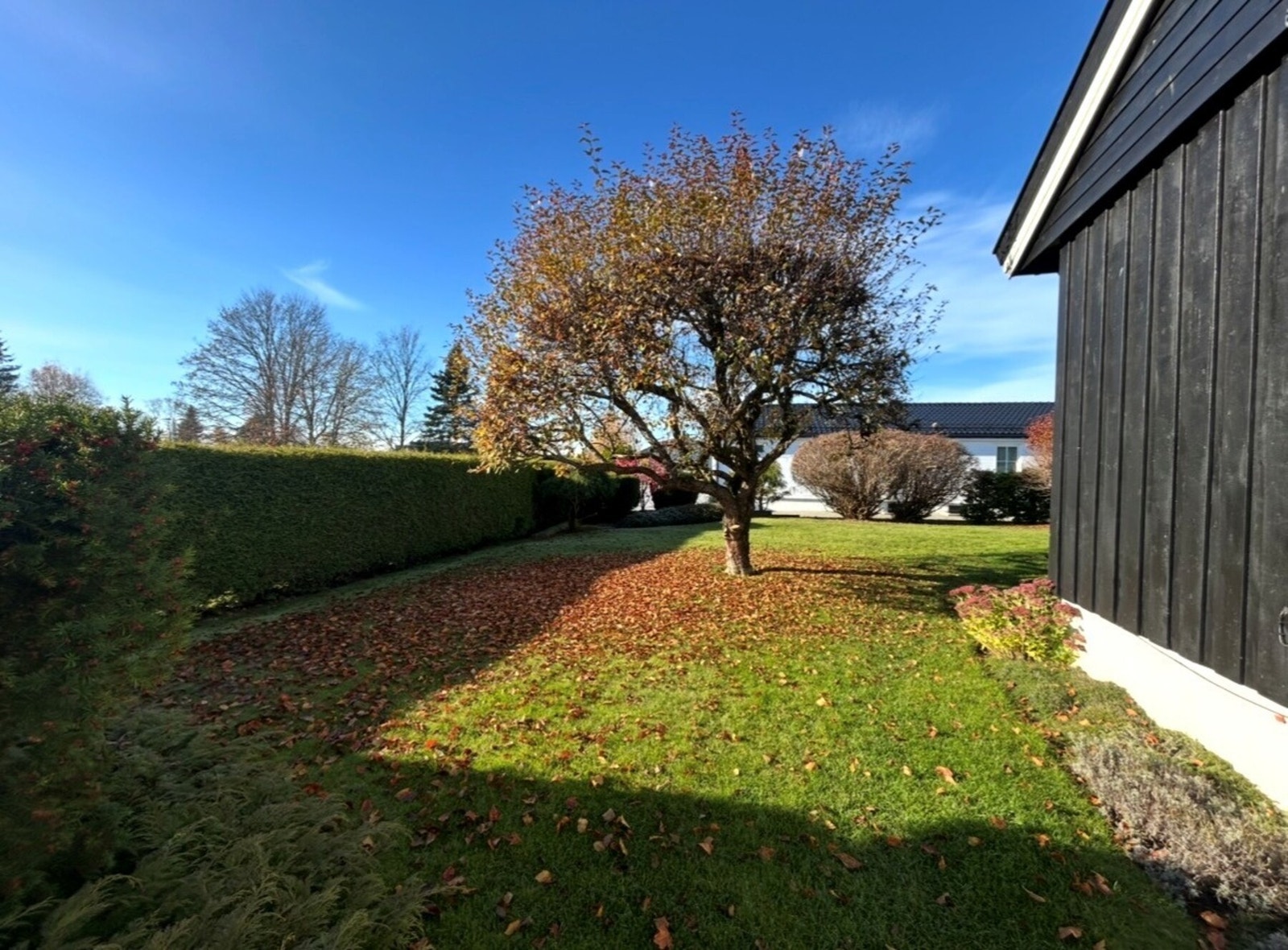 Høststemning i hagen - selgers egne bilder. Galleribilde