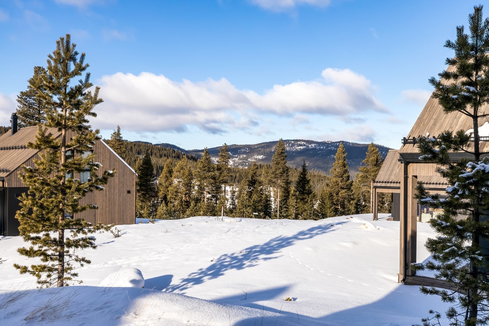 Utsikt fra hytteveggen. Galleribilde