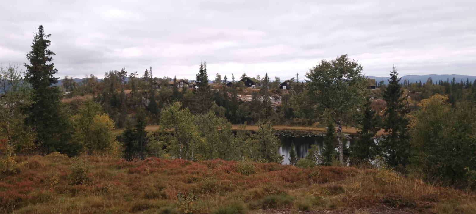 Upåklagelig utsikt! Selgers eget bilde, Galleribilde