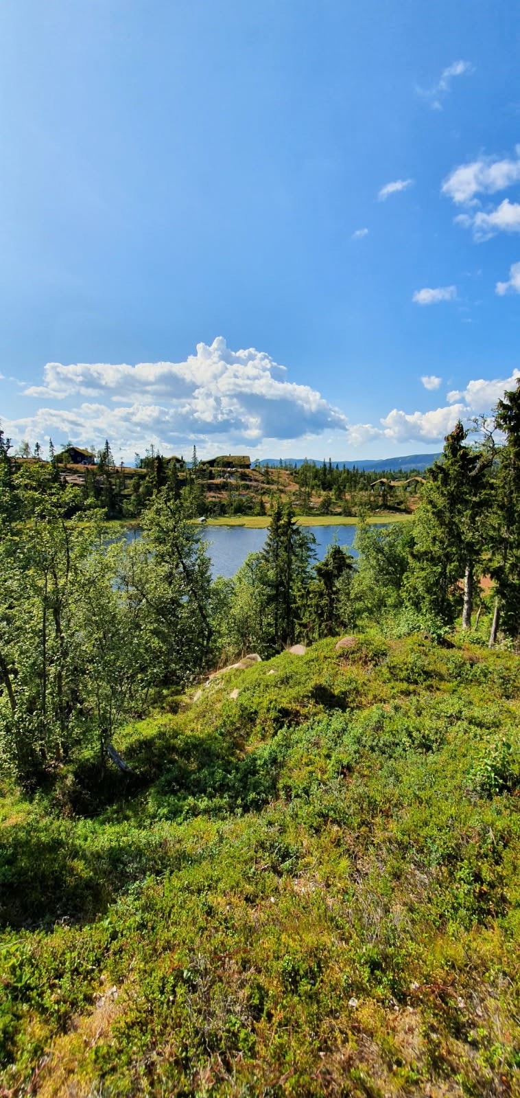 Nyt stillheten ved vannet sommerstid! Selgers eget bilde. Galleribilde