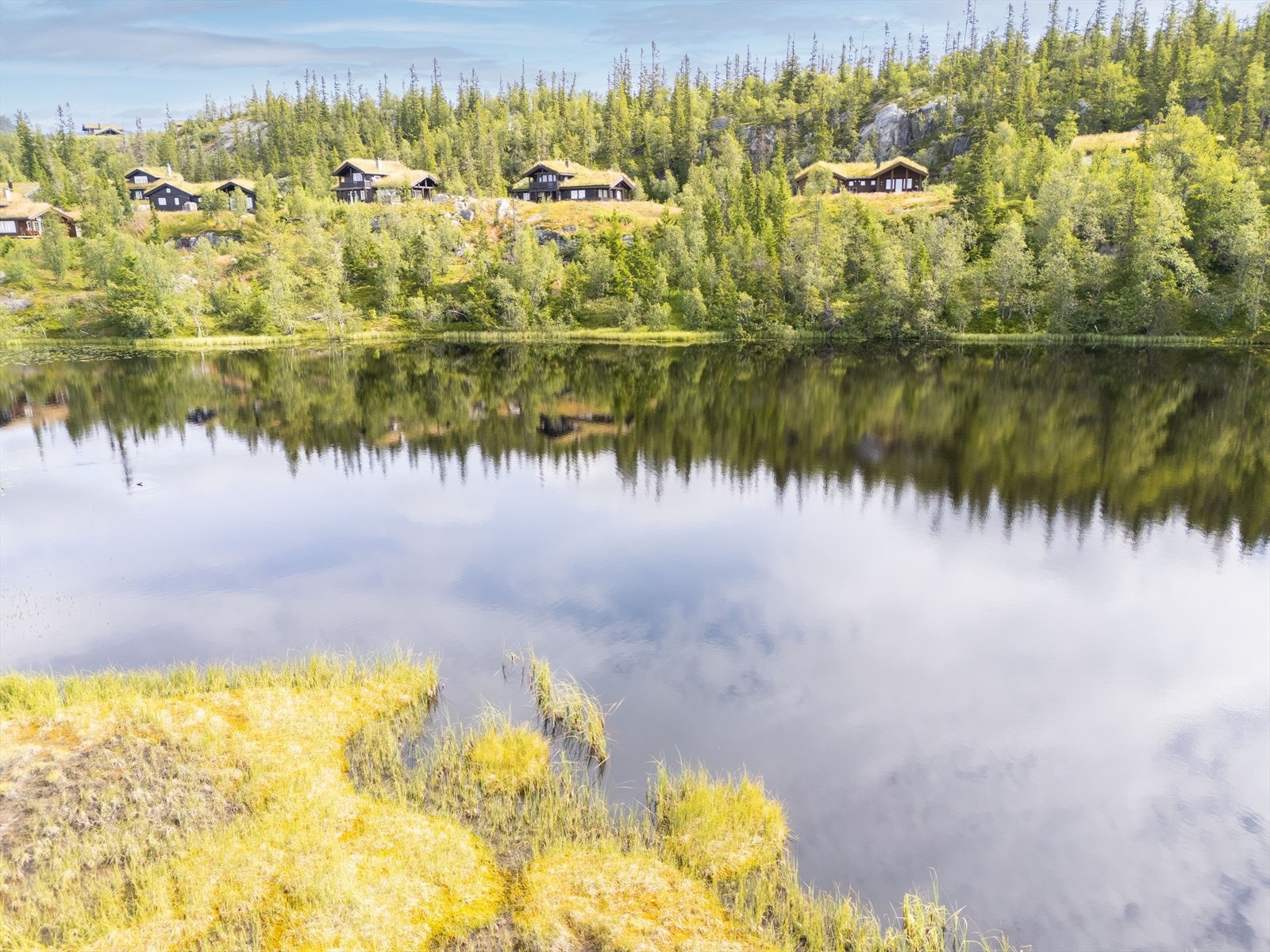 Velkommen til en hyggelig visning! Galleribilde