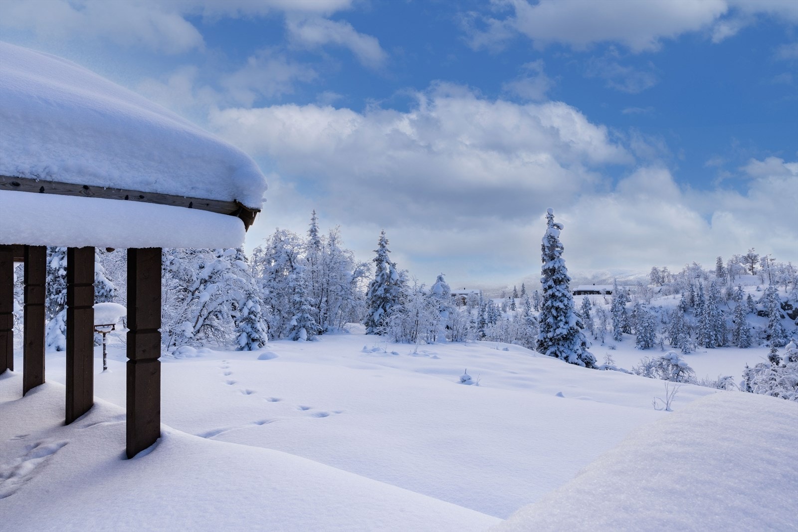 Upåklagelig utsikt utover dalen, med svært gode solforhold! Galleribilde