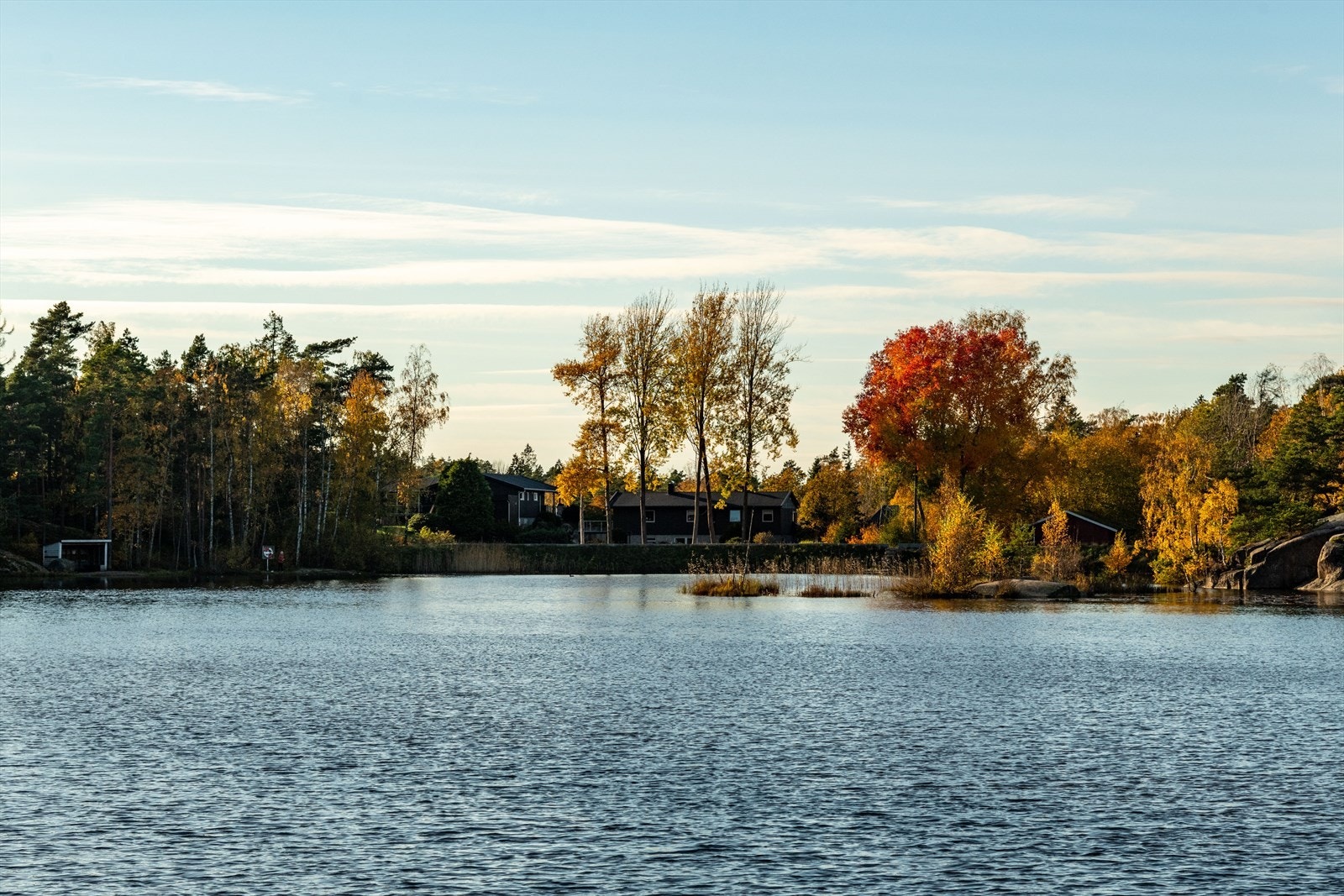 Like ved Smertudammen med turstier, rasteplass og flotte naturopplevelser. Galleribilde