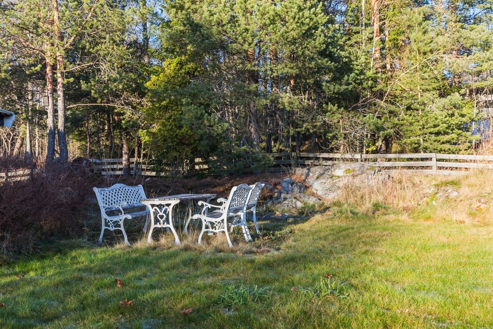 Eiendommen grenser til et lite skogområde. Galleribilde