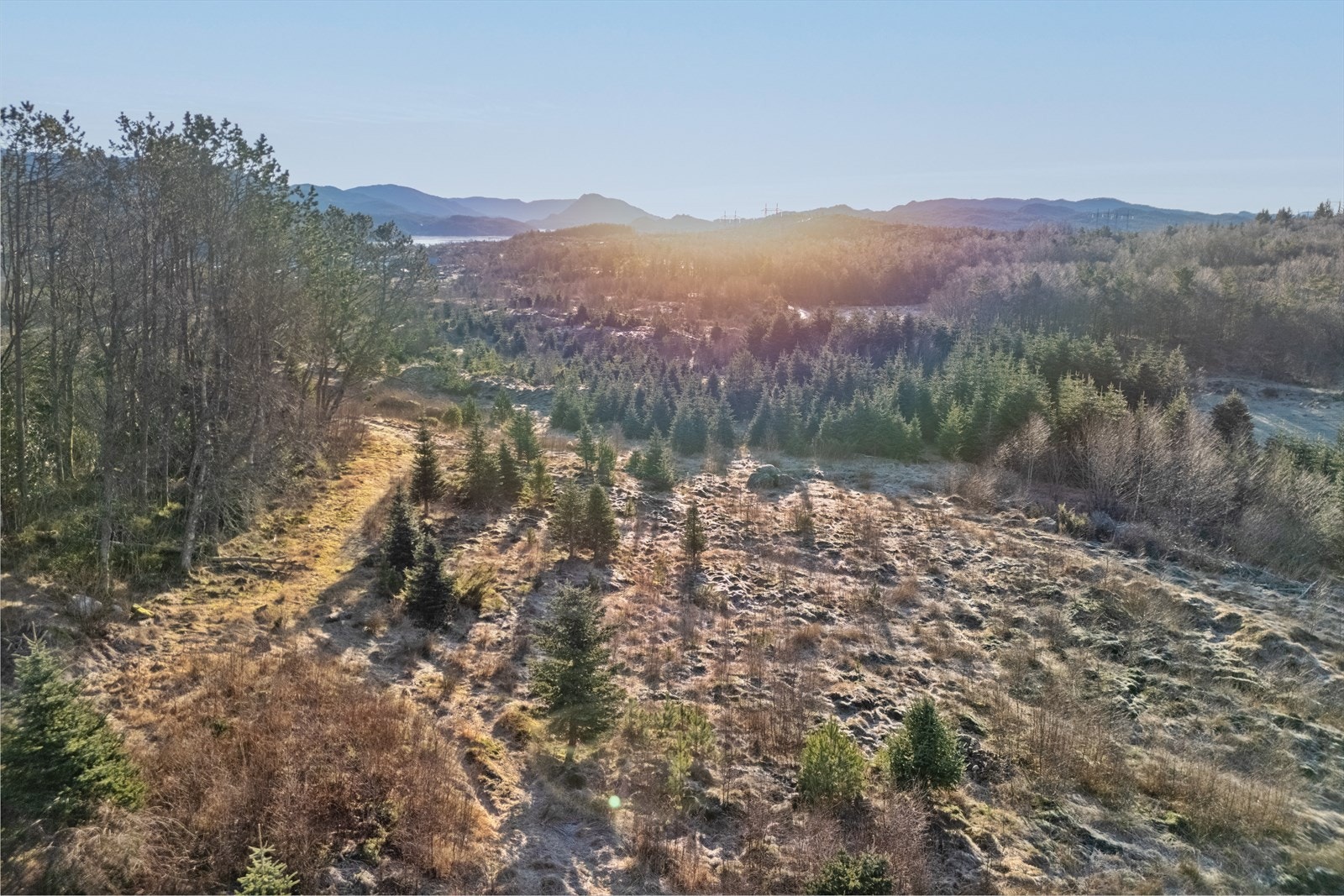 Tomta er pt del av en større eiendom (gnr/bnr 86/48), men vil bli oppmålt og utskilt. Etter utskilling får tomta et areal på omlag 5,2 mål. Galleribilde