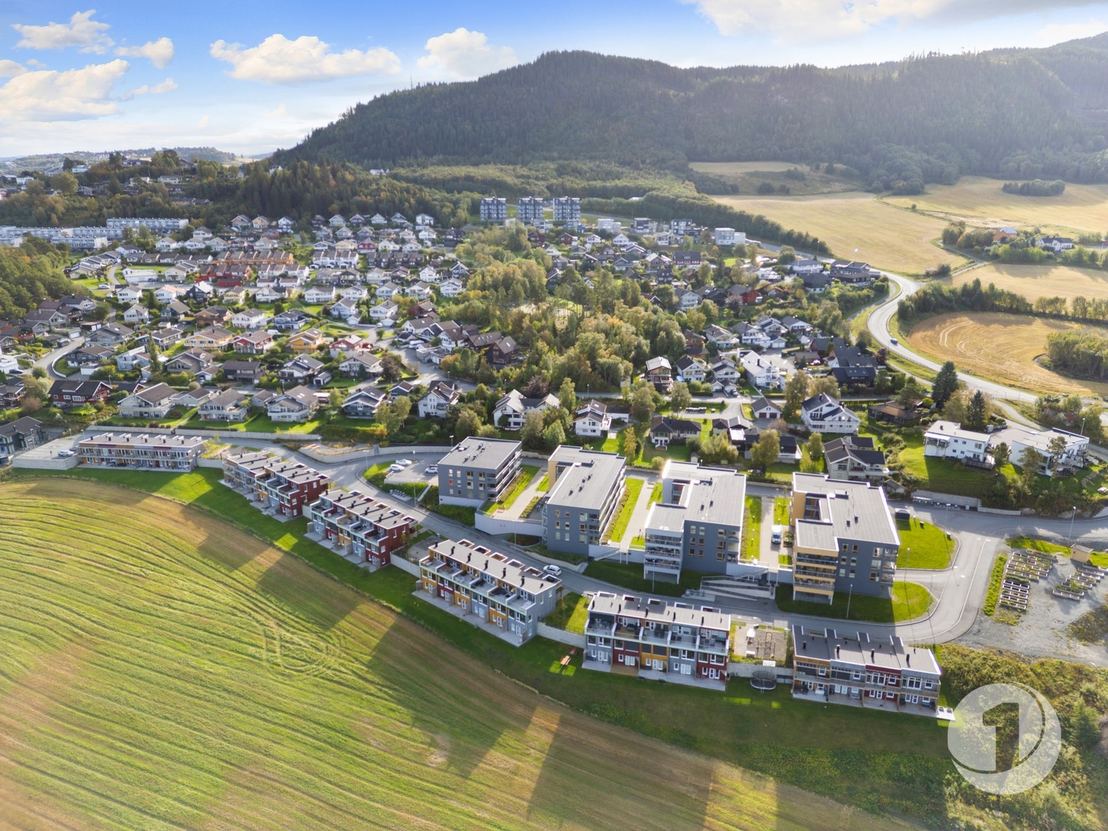 Dronebilde av nabolaget. Galleribilde