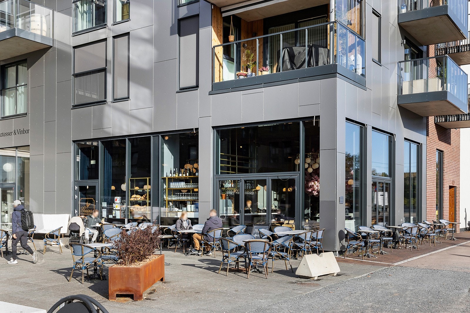 Granis bakeri Frysja. Galleribilde