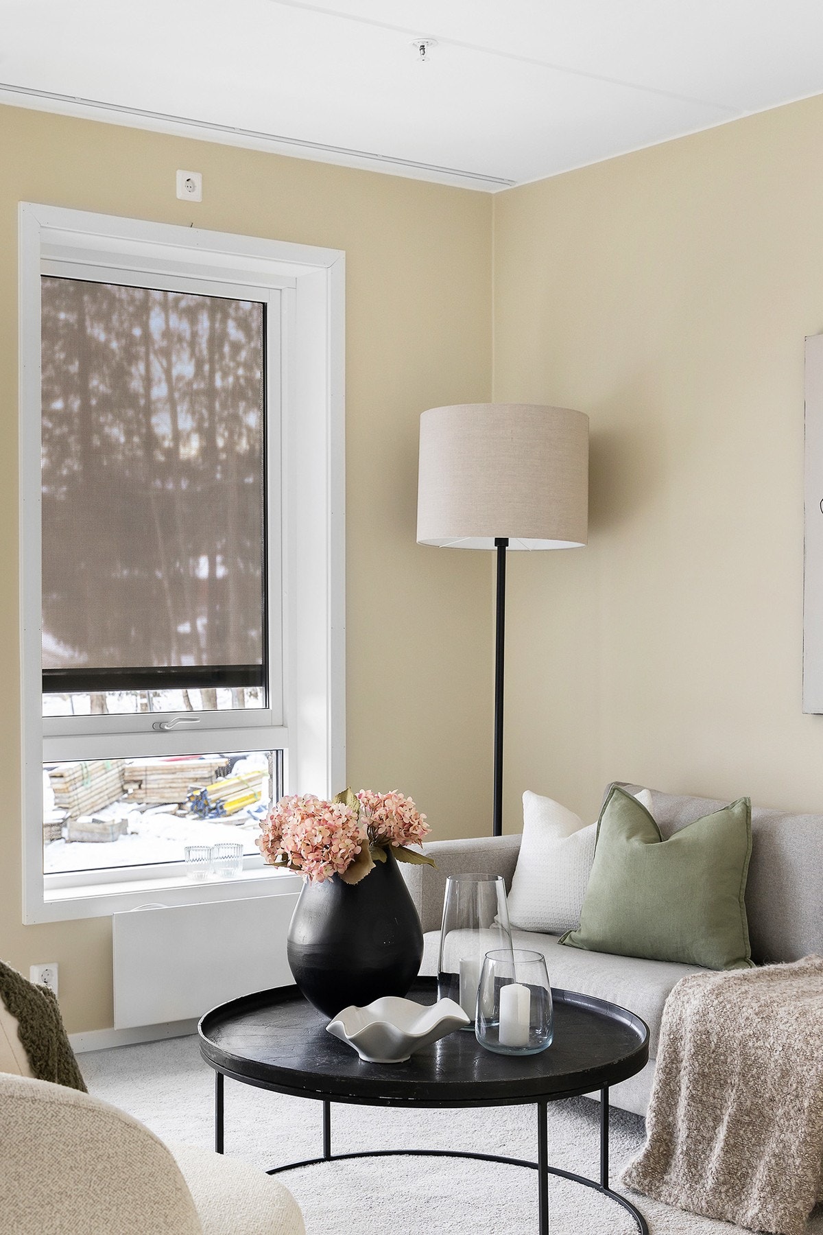 Utvendige screens på vinduene i stuen. Galleribilde