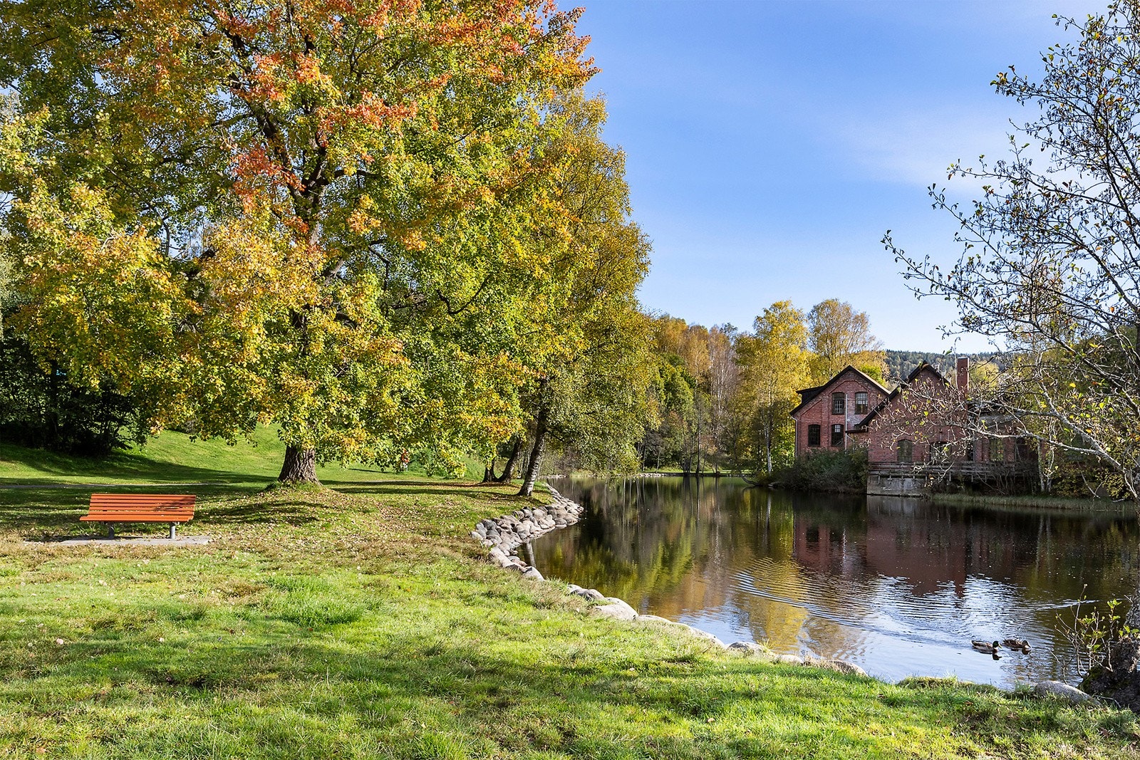 Idylliske Frysja badeplass. Galleribilde