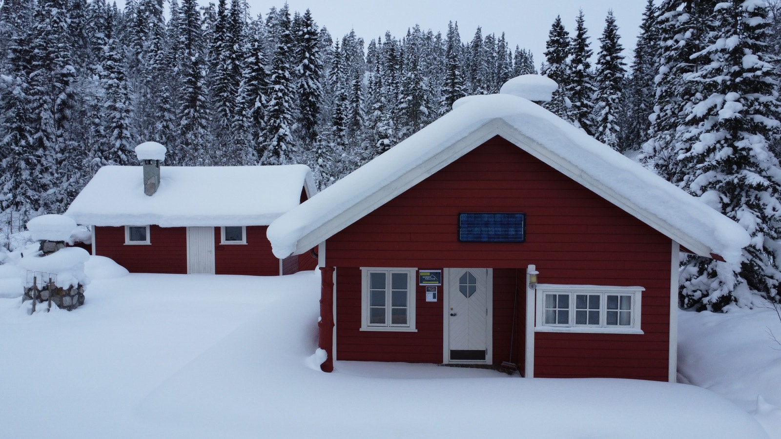 Trygge forhold for familie og hund Galleribilde