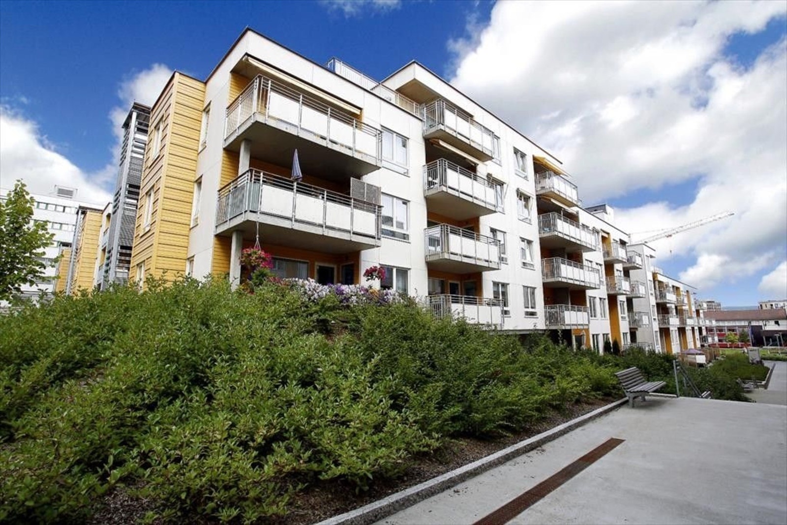 Fasade. Galleribilde