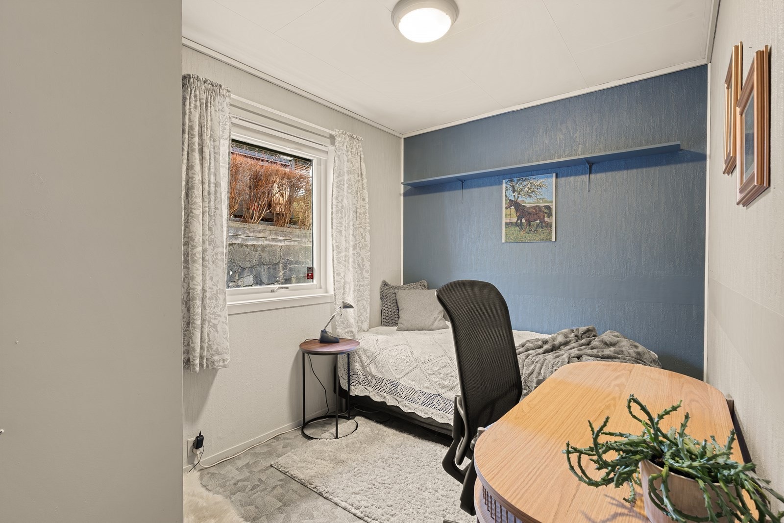 Vindu som gir rikelig med lysinnslipp. Galleribilde