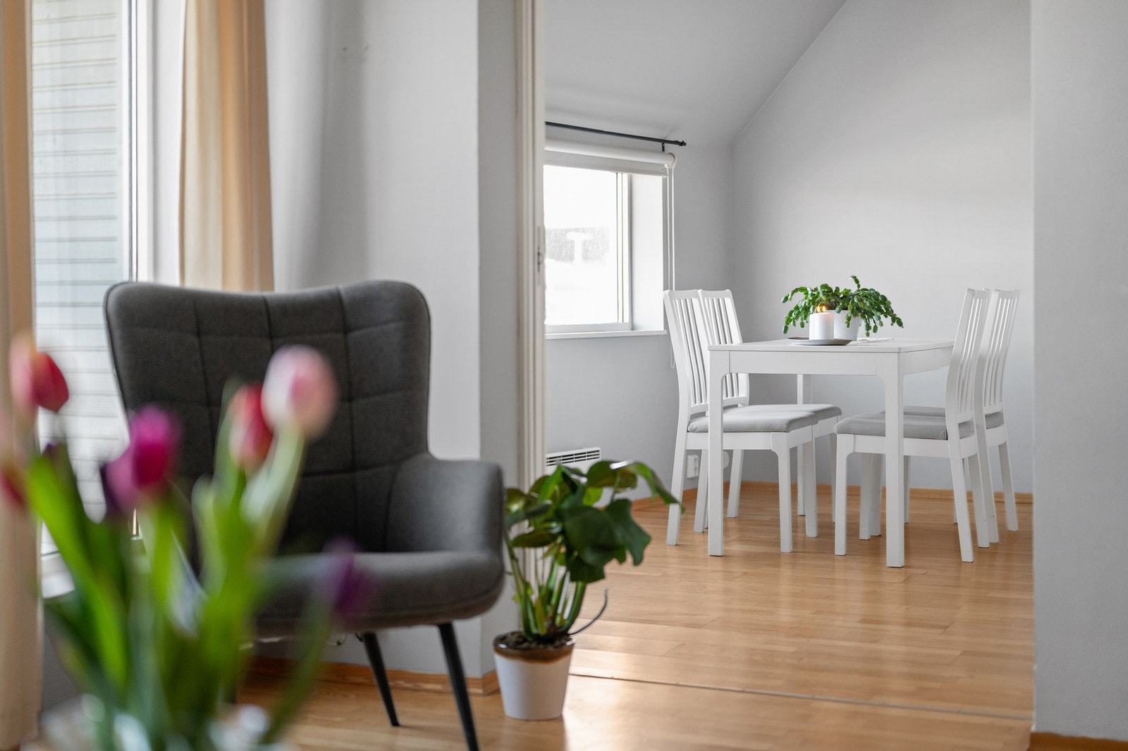 Detaljbilde. Galleribilde