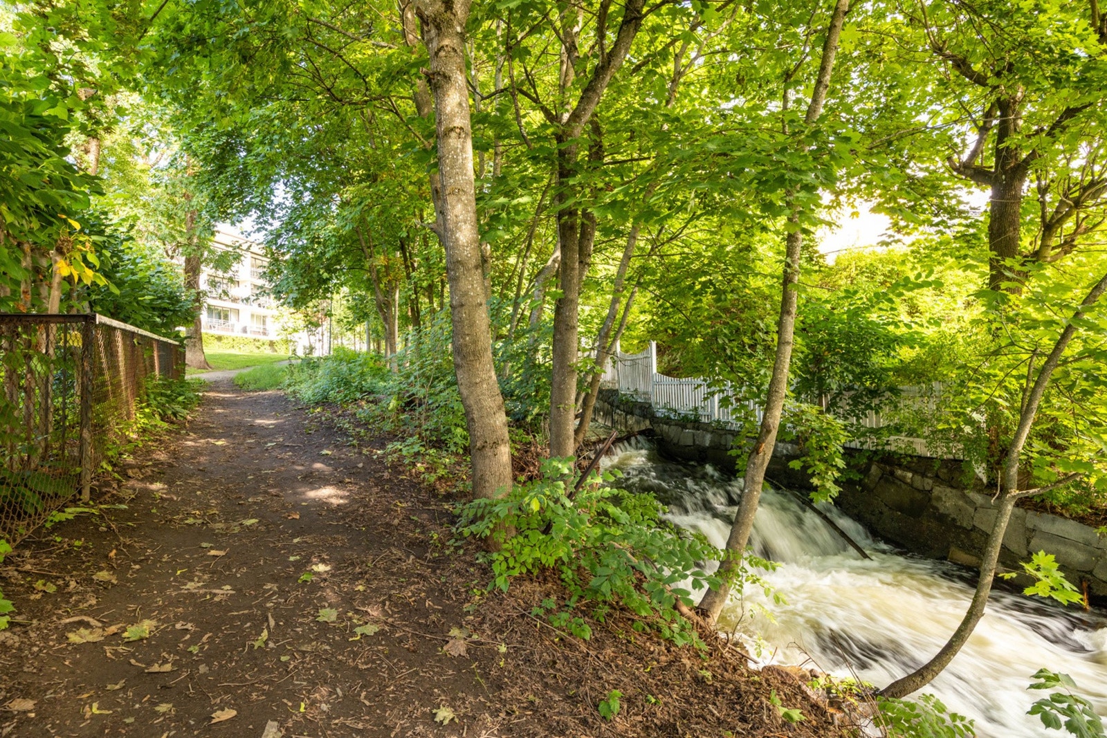 Nærområdet. Galleribilde