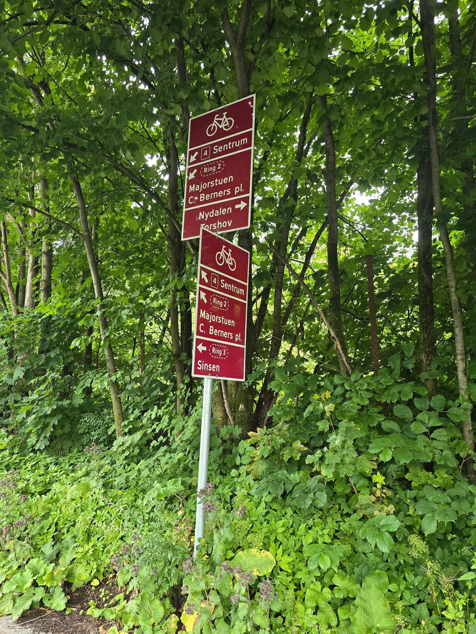 Nærområdet Galleribilde