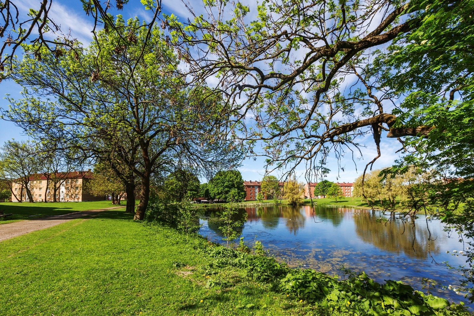 Det er gode turmuligheter i området. Her fra idylliske Hovindammen som ligger i umiddelbar nærhet til leiligheten Galleribilde