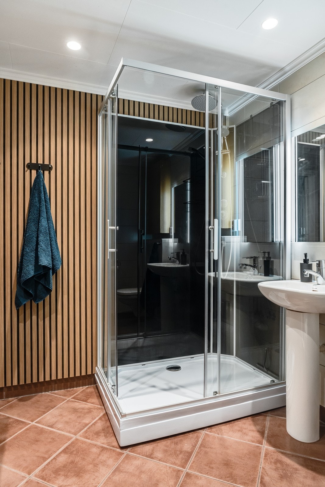 Rommet er utstyrt med et stort dusjkabinett og en stilig spilevegg. Galleribilde