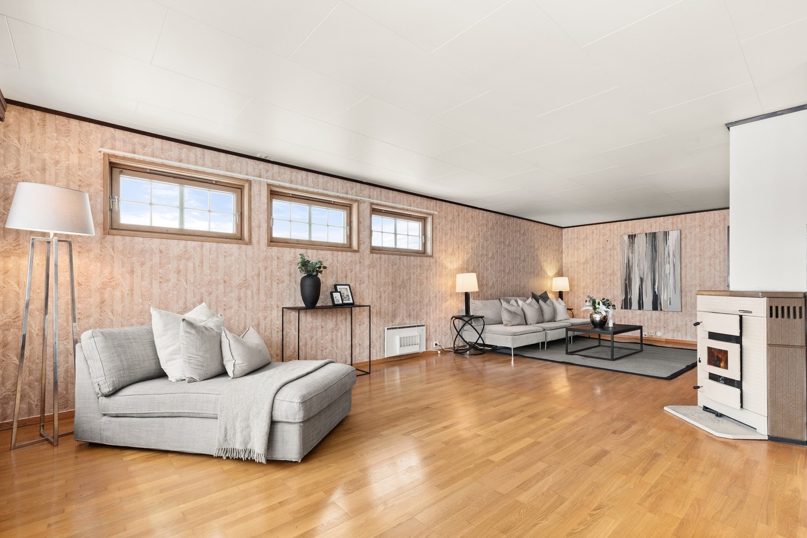 Stor stue som lett kan sonemøbleres Galleribilde