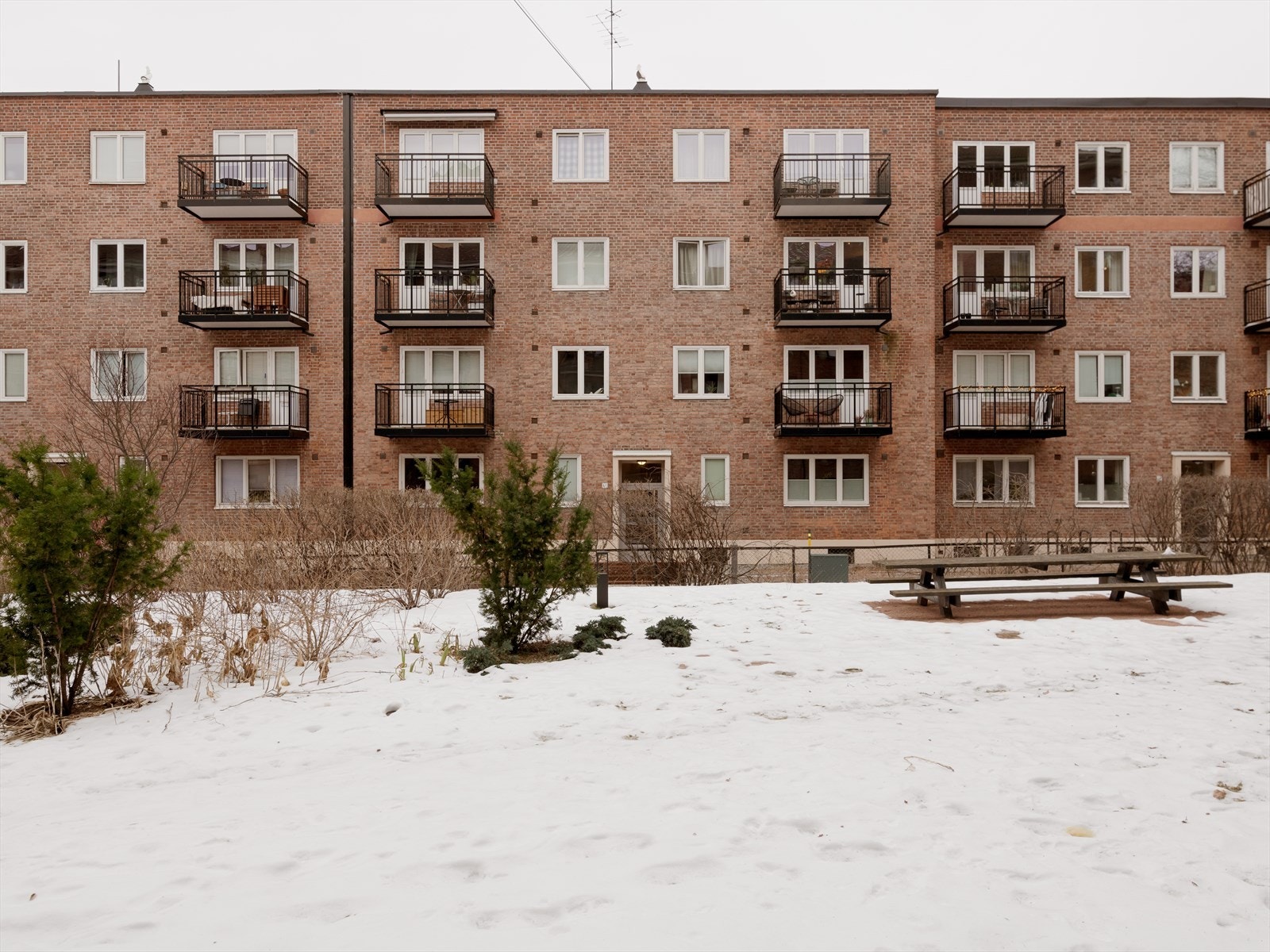 Sameiet legger vekt på et godt fellesskap og arrangerer jevnlig sosiale aktiviteter som sommerfest og julegrantenning. Galleribilde