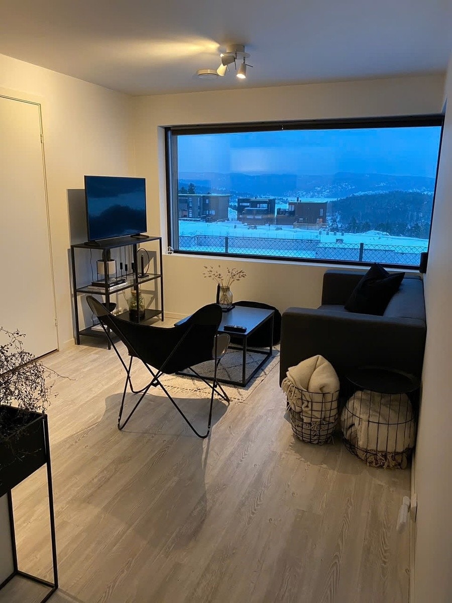 Stue m/utsikt Galleribilde