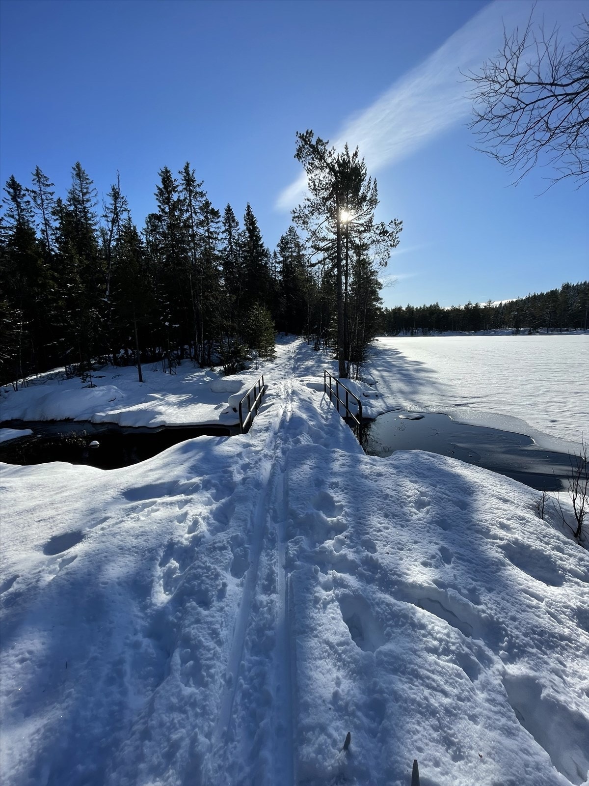 Lillomarka byr på flotte naturopplevelser. Galleribilde