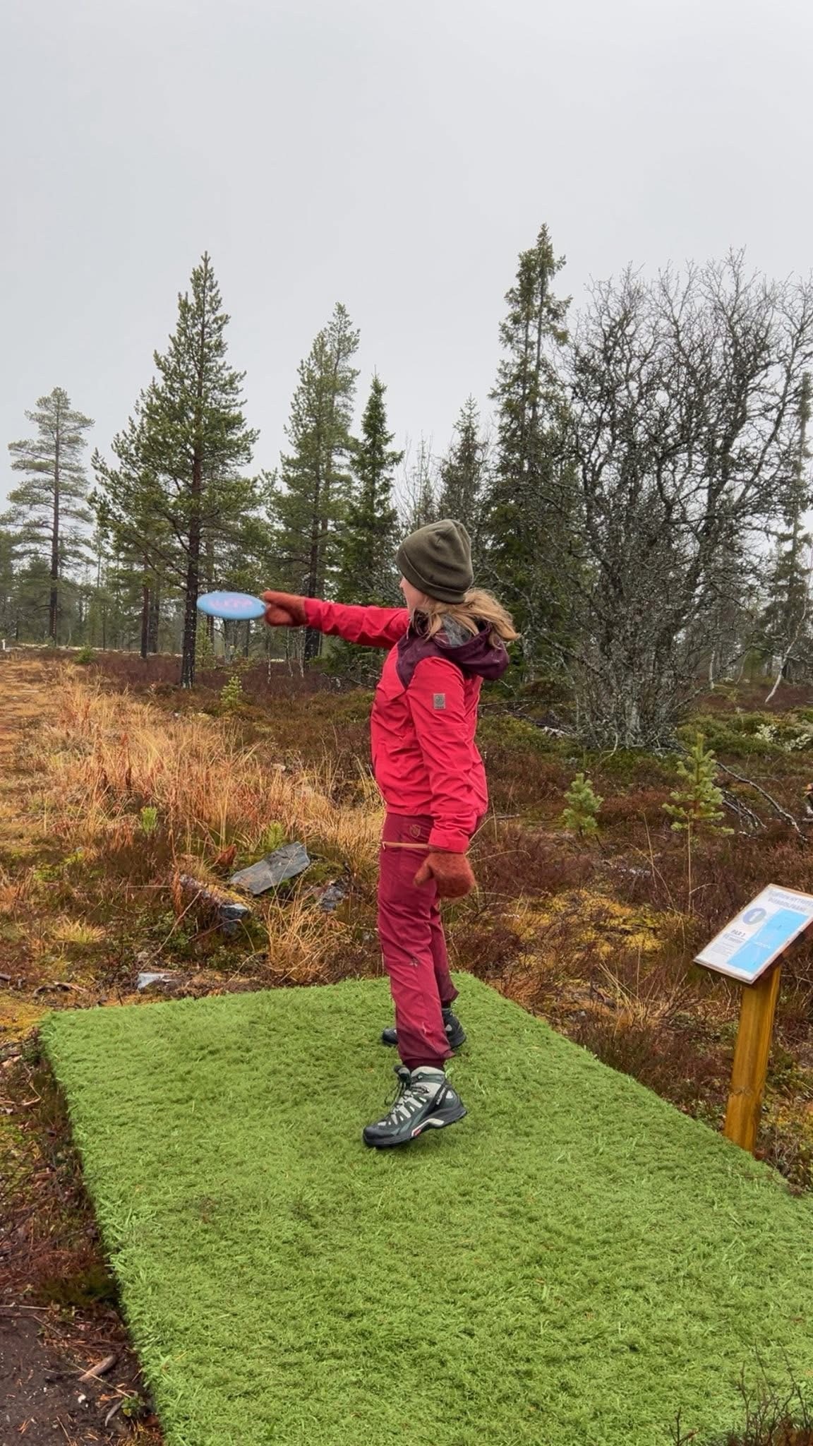 Diskgolf Galleribilde