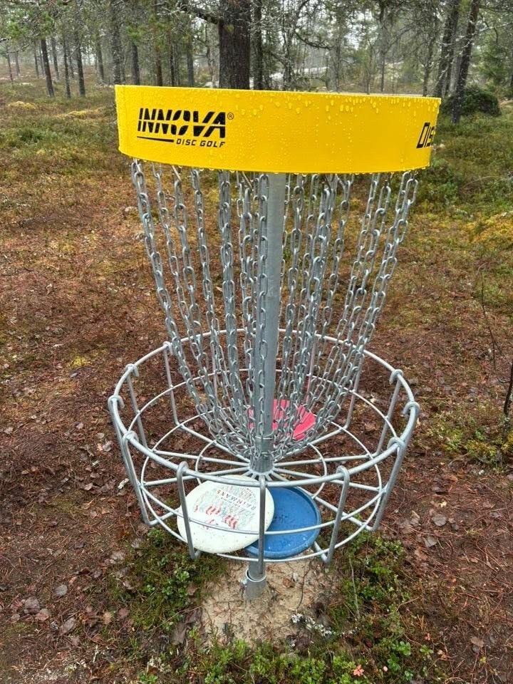 Diskgolf Galleribilde