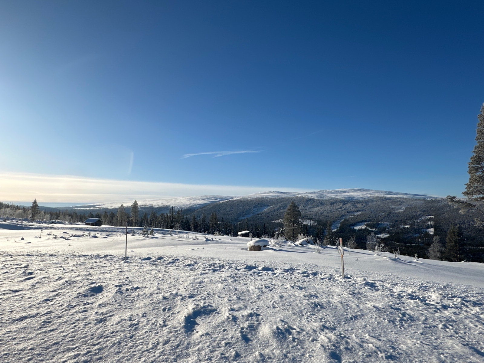 Utsikt fra tomten mot sør Galleribilde