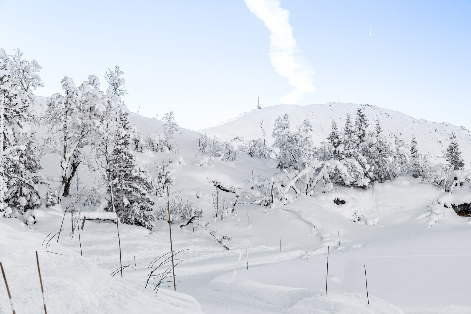 Innkjøring til tomten Galleribilde