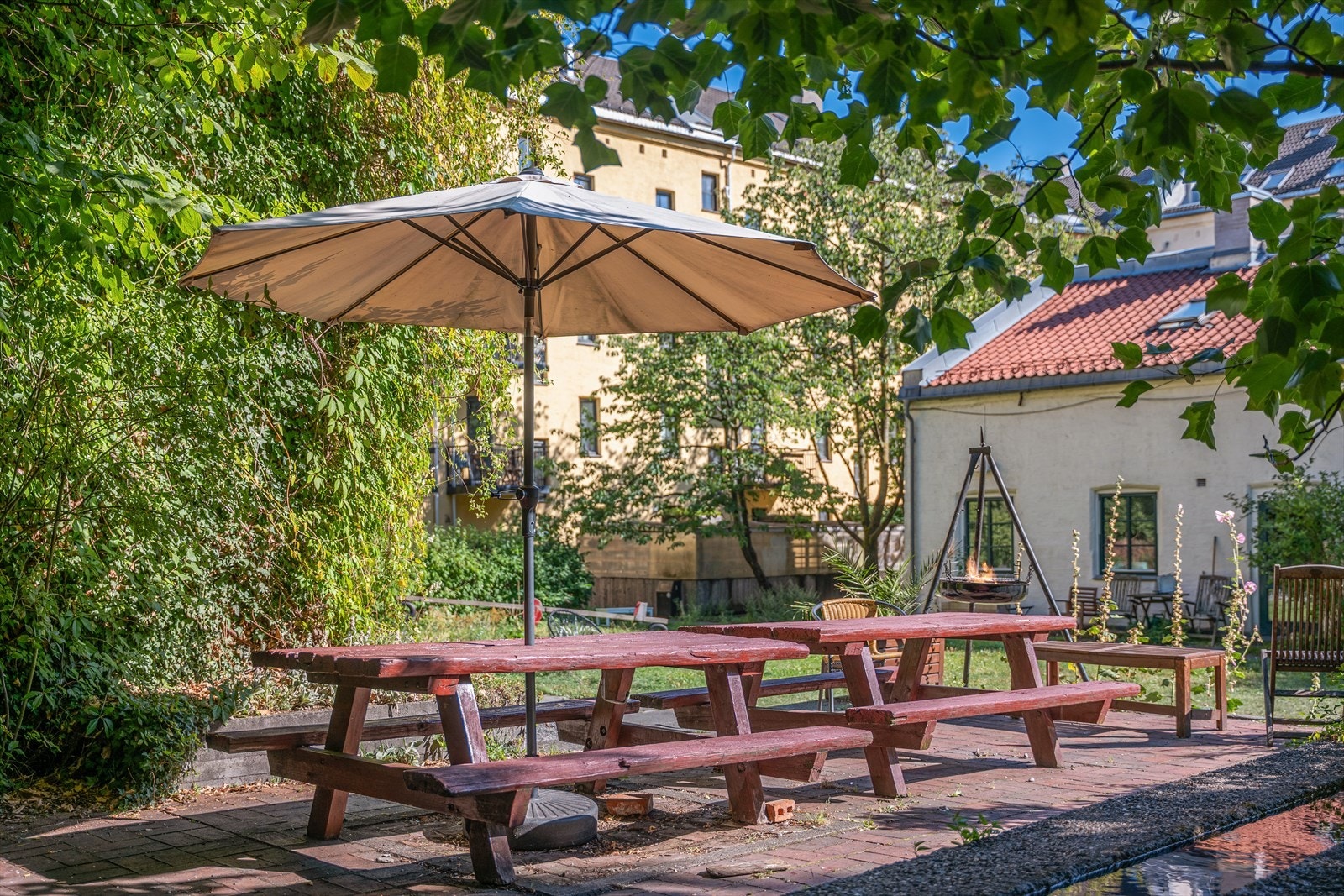 Fantastisk frodig og fin bakgård med ulike sittegrupper, grill og beplantning. Galleribilde