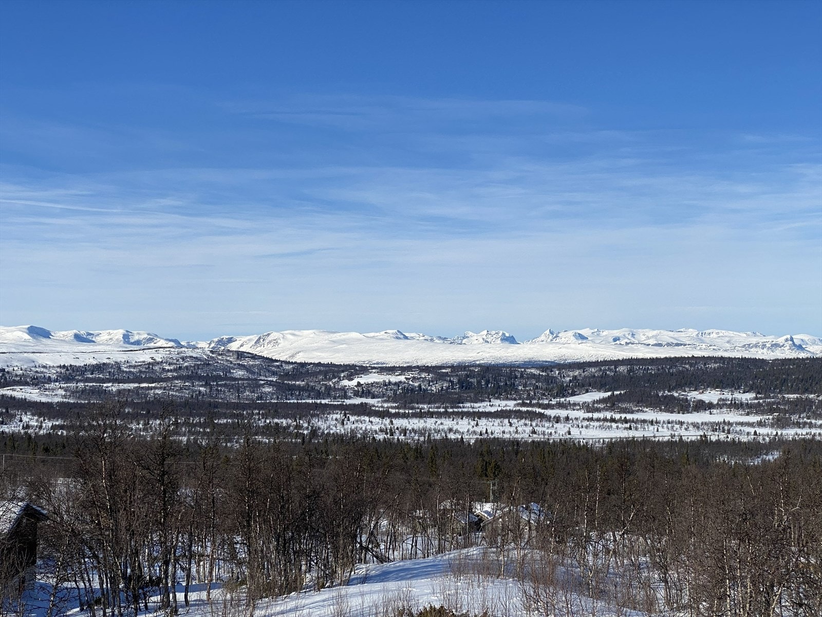 Selgers private foto Galleribilde