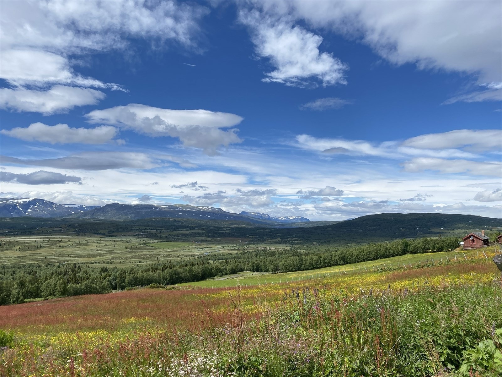 Selgers private foto Galleribilde