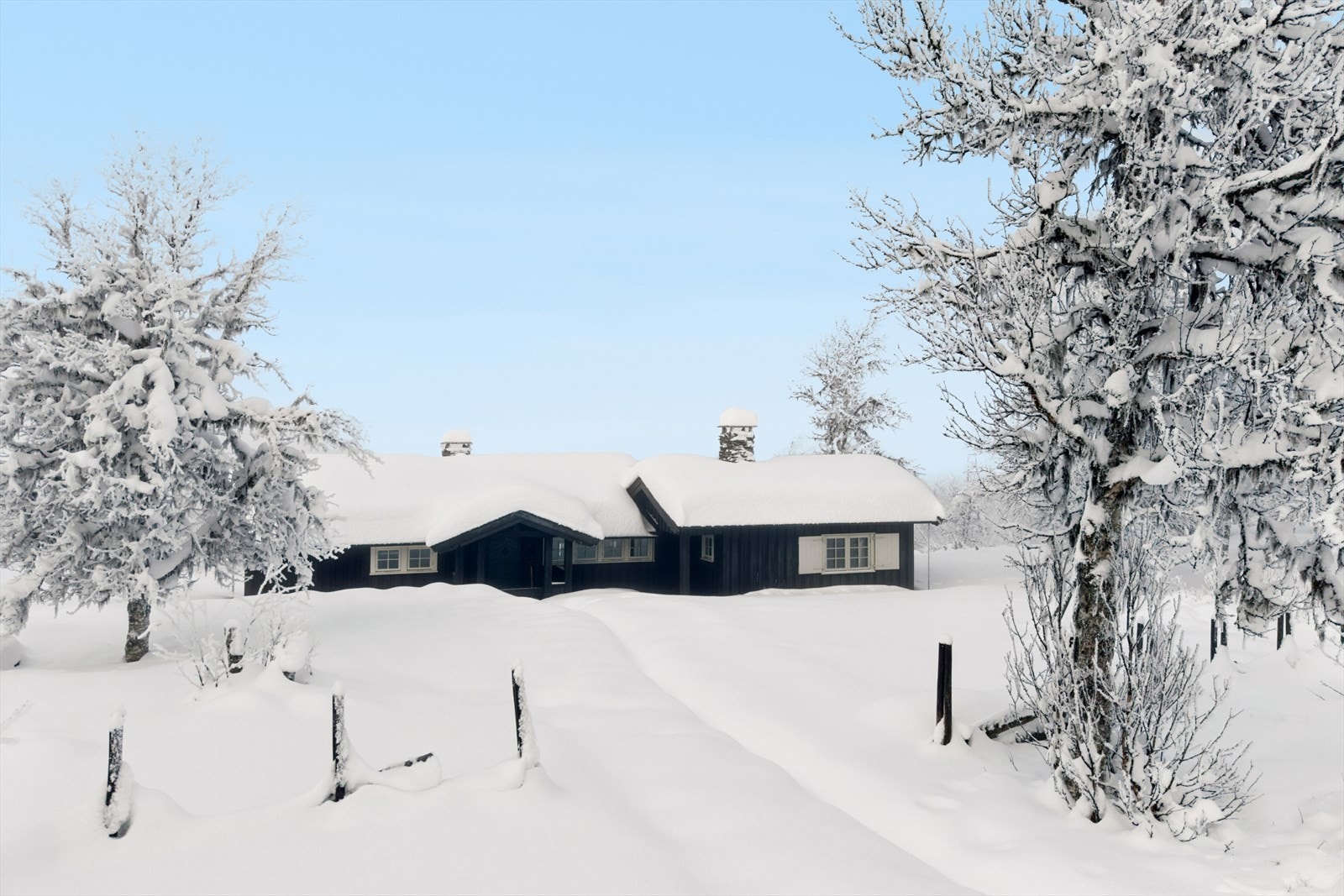 Velkommen til Bakselin 10! (Fotograf: EFKT v/ Tor Solberg) Galleribilde