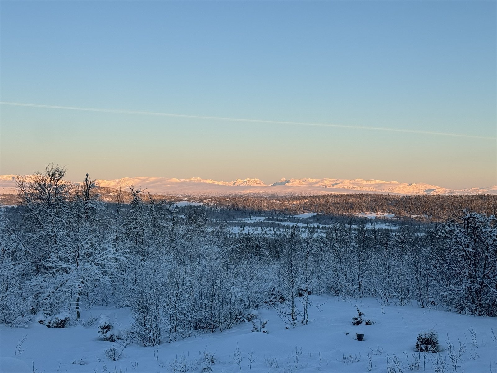 Selgers private foto Galleribilde