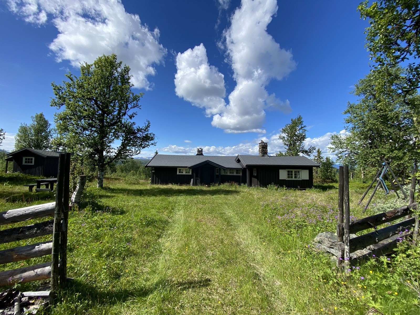 Selgers private foto Galleribilde