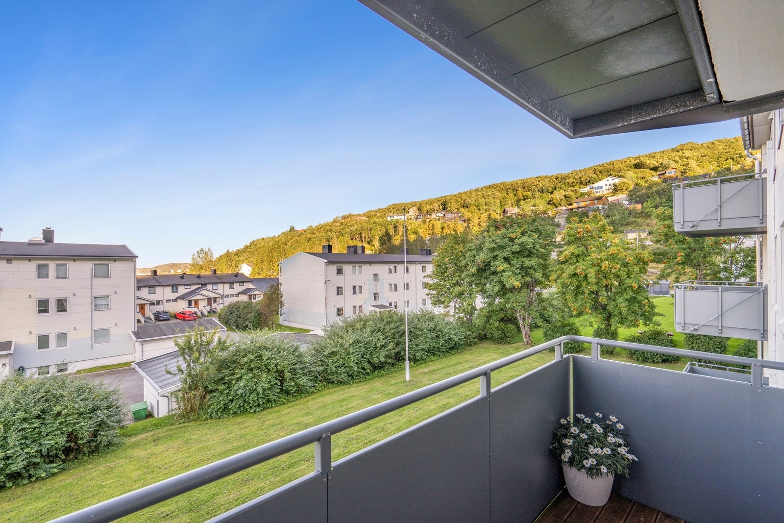 Flotte felles uteområder med plen og boltreplass. Galleribilde