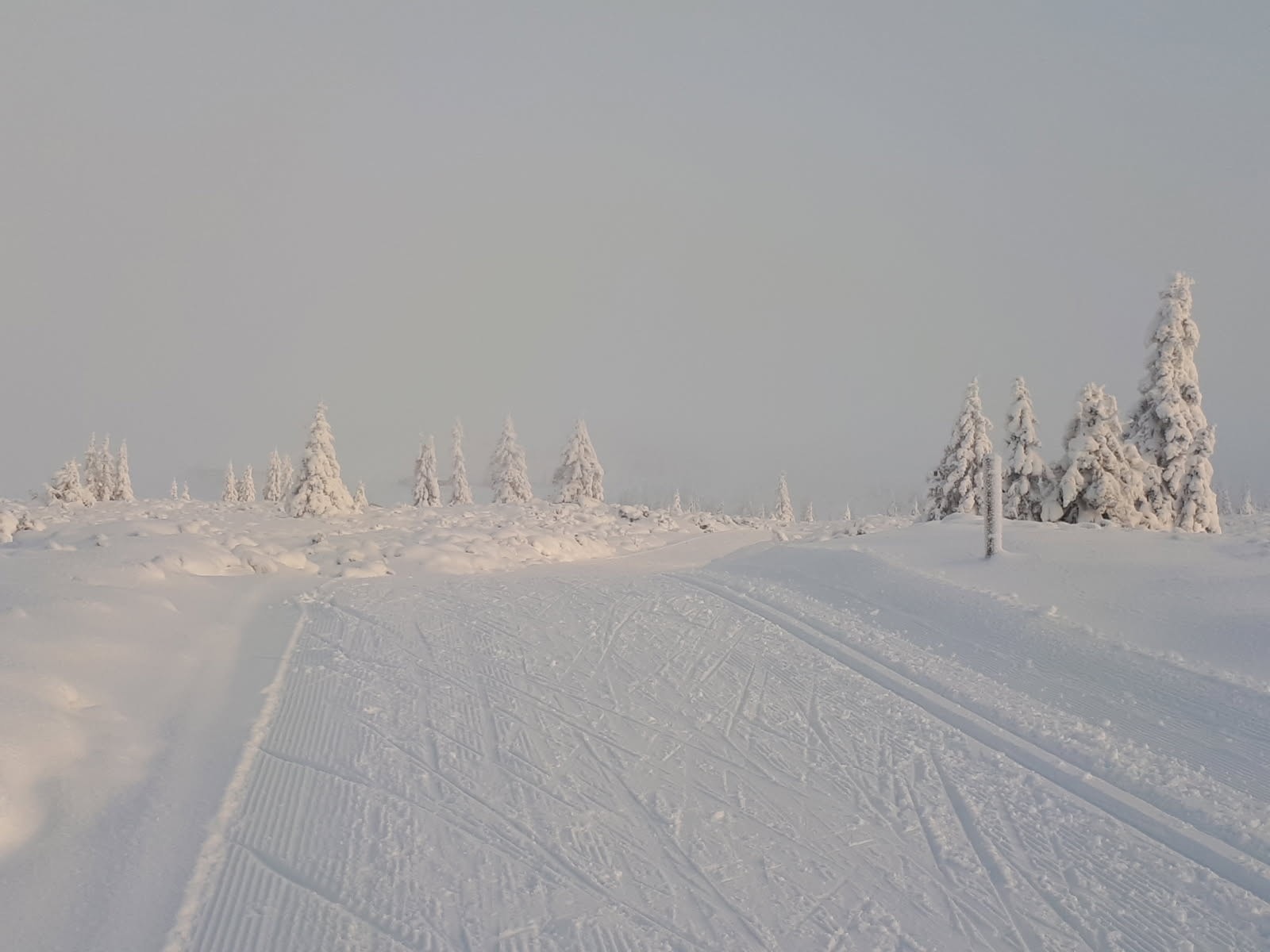 Her har du umiddelbar tilgang til et meget godt og variert løypenett for langrenn. Galleribilde