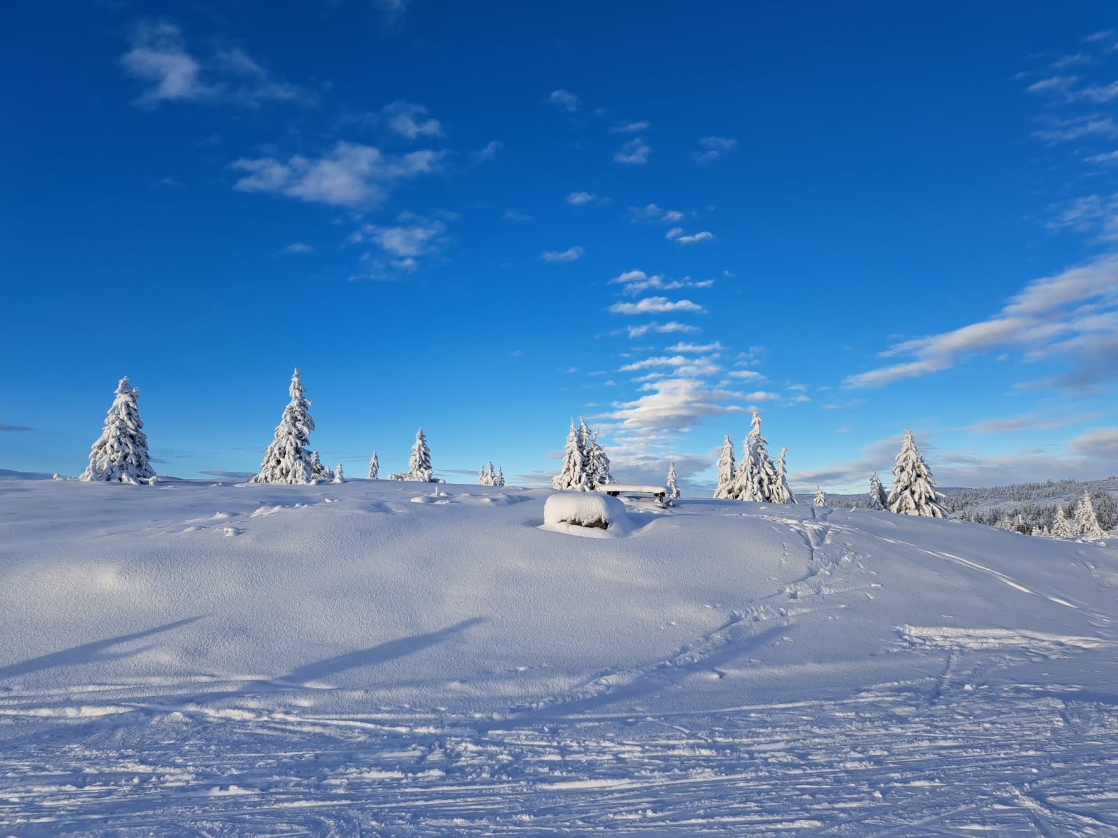 Området byr på variert terreng som er ideelt for både ski- og fotturer. Galleribilde