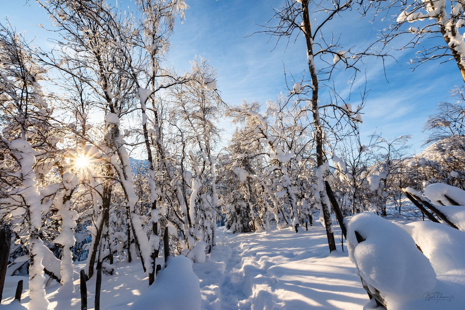 vinter 2026 Galleribilde