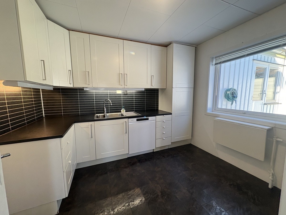 Ny oppvaskmadin og komfyr 2026. Galleribilde