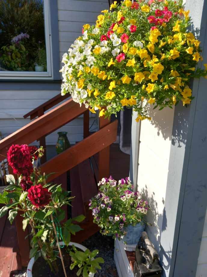 Selgers bilde. Galleribilde