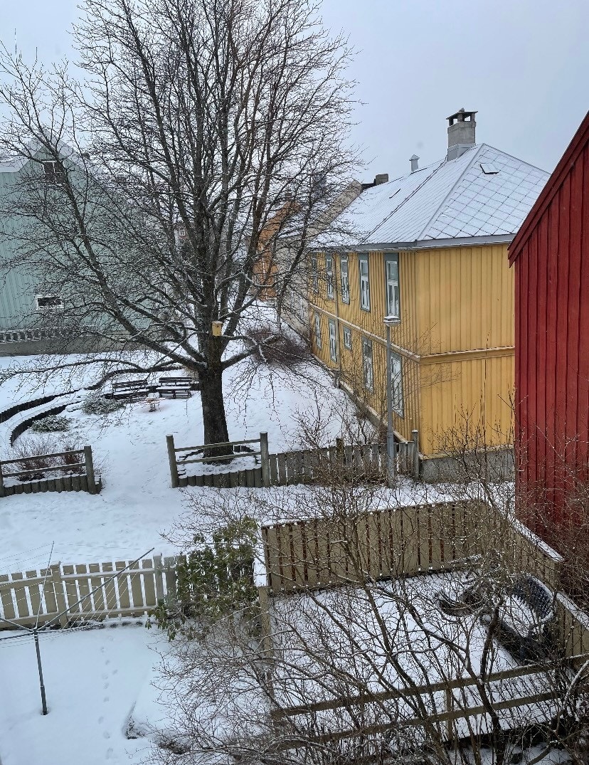 Baksiden av bygget Galleribilde