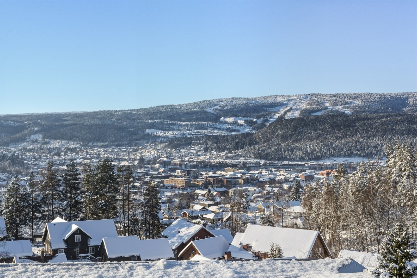 Flott utsikt fra terrassen! Galleribilde