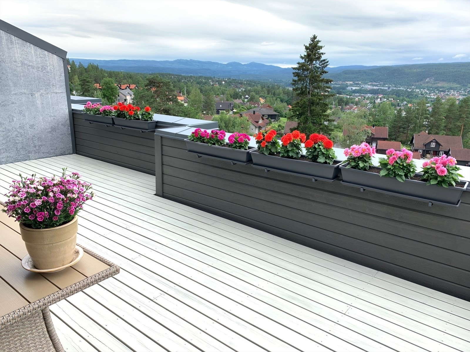 Bilde fra terrasse på sommerstid, tatt av selger Galleribilde