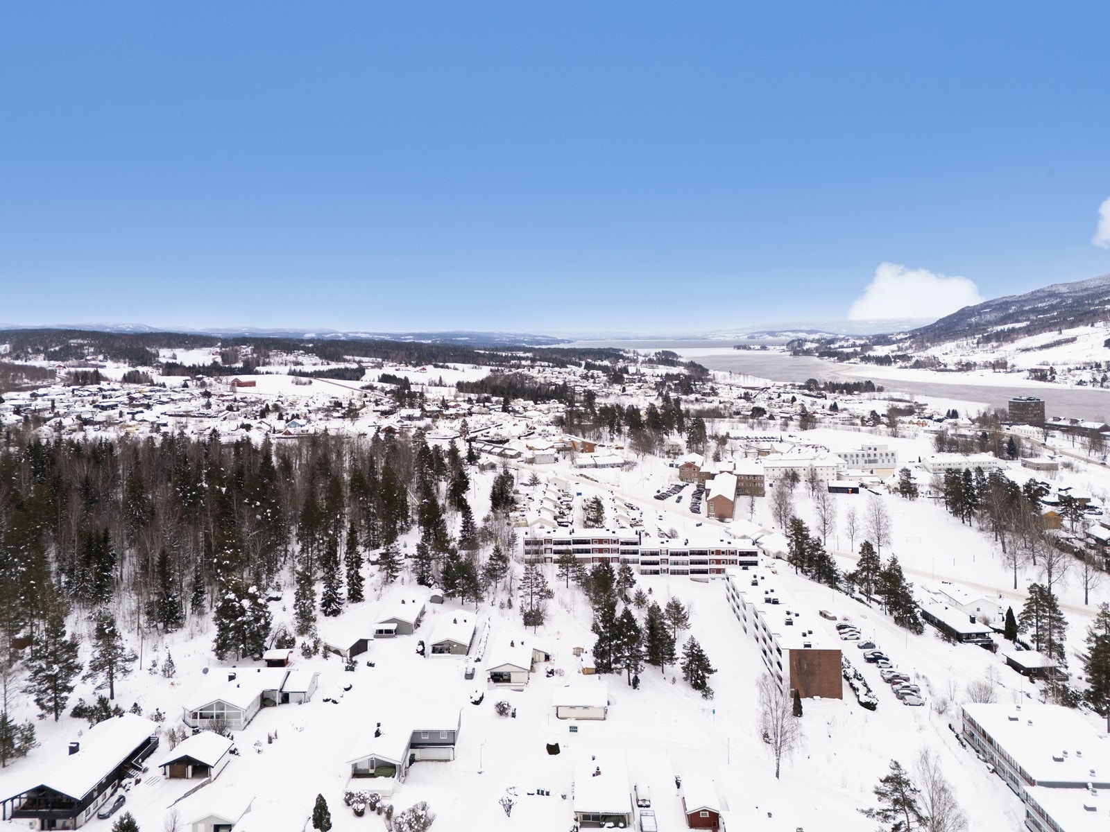 Velkommen til en hyggelig visning! Galleribilde